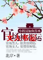 官道之步步高升